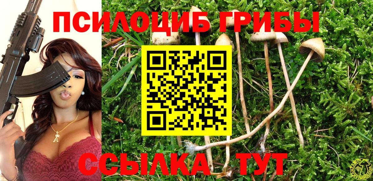 Псилоцибиновые грибы прущие грибы  Псилоцибиновые грибы MAGIC MUSHROOMS  Вход с VPN  купить  сайты  Тамбов 